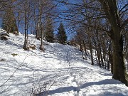38 Pestando soffice neve dal Buco della Carolina al Monte Poieto sul sent. 537